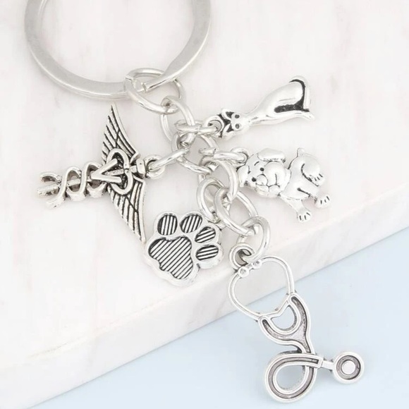 Vet Dog Cat Paw Charm Keychain Silver Plated Veterinarian Gift Pet Lover - Picture 3 of 5